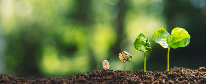 Leaves sprouting from dirt; Prysm Counselling Blog