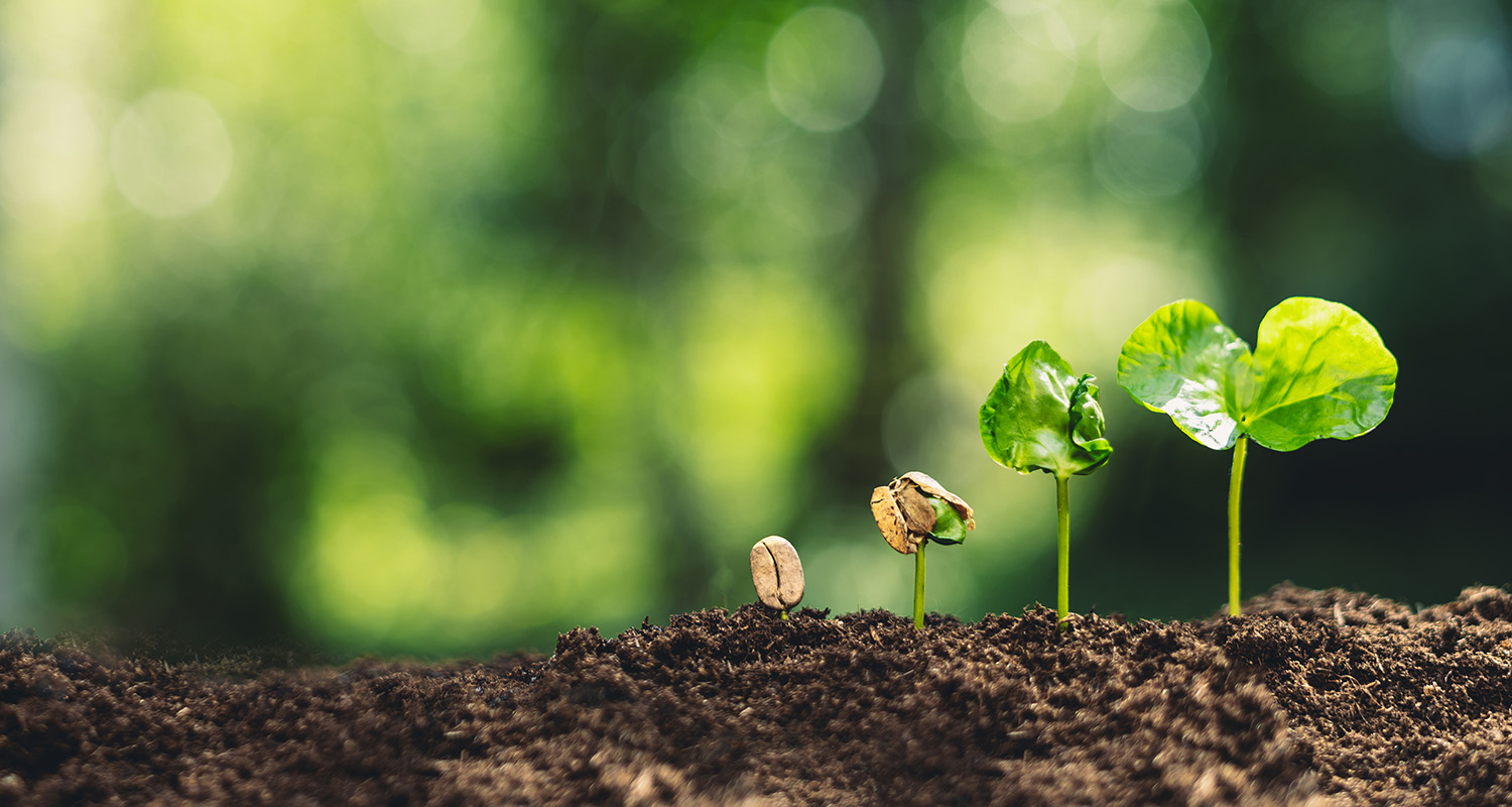 Leaves sprouting from dirt; Prysm Counselling Blog